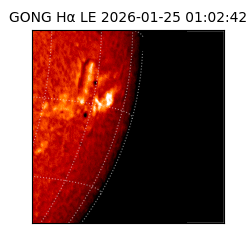 gong - 2026-01-25T01:02:42