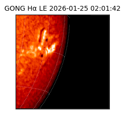 gong - 2026-01-25T02:01:42
