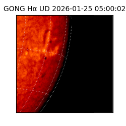 gong - 2026-01-25T05:00:02