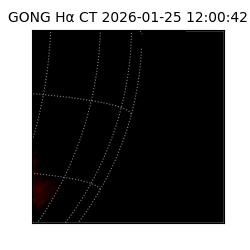gong - 2026-01-25T12:00:42