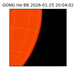 gong - 2026-01-25T20:04:02