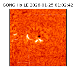 gong - 2026-01-25T01:02:42