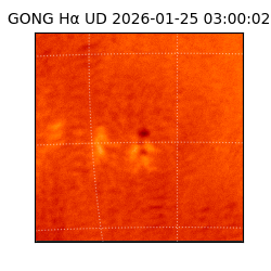 gong - 2026-01-25T03:00:02