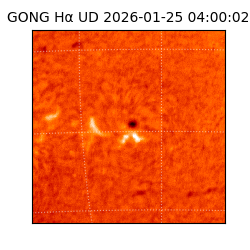 gong - 2026-01-25T04:00:02