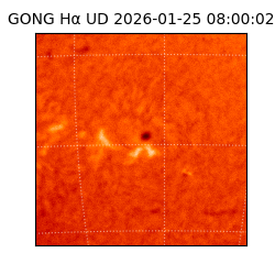 gong - 2026-01-25T08:00:02