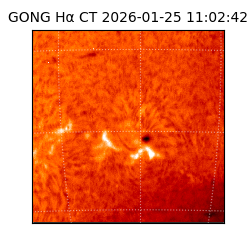 gong - 2026-01-25T11:02:42