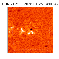 gong - 2026-01-25T14:00:42