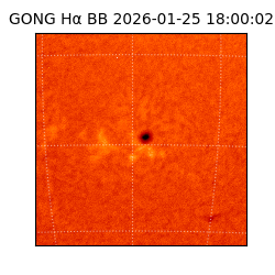 gong - 2026-01-25T18:00:02