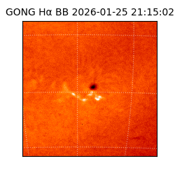 gong - 2026-01-25T21:15:02
