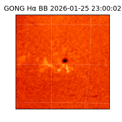 gong - 2026-01-25T23:00:02
