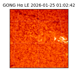 gong - 2026-01-25T01:02:42