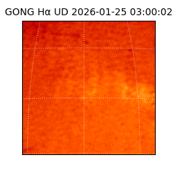 gong - 2026-01-25T03:00:02
