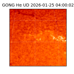 gong - 2026-01-25T04:00:02