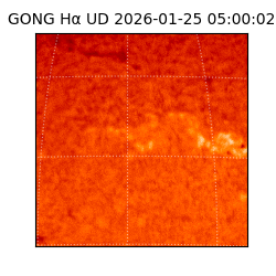 gong - 2026-01-25T05:00:02