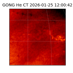 gong - 2026-01-25T12:00:42