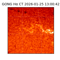 gong - 2026-01-25T13:00:42