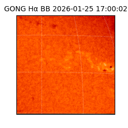 gong - 2026-01-25T17:00:02