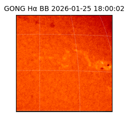 gong - 2026-01-25T18:00:02