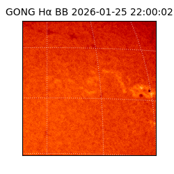 gong - 2026-01-25T22:00:02