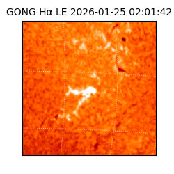 gong - 2026-01-25T02:01:42