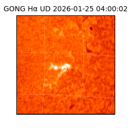 gong - 2026-01-25T04:00:02