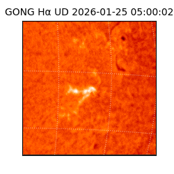 gong - 2026-01-25T05:00:02