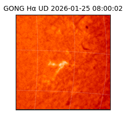 gong - 2026-01-25T08:00:02
