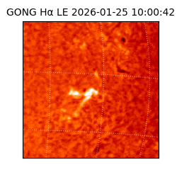gong - 2026-01-25T10:00:42