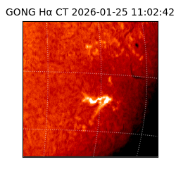 gong - 2026-01-25T11:02:42