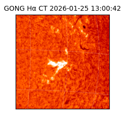 gong - 2026-01-25T13:00:42