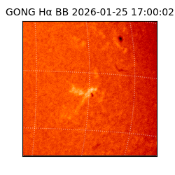 gong - 2026-01-25T17:00:02