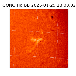 gong - 2026-01-25T18:00:02