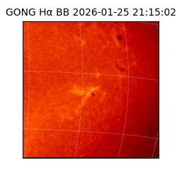 gong - 2026-01-25T21:15:02