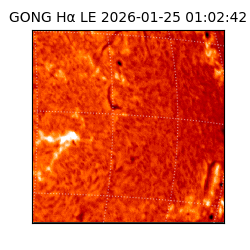 gong - 2026-01-25T01:02:42