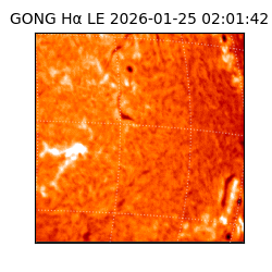 gong - 2026-01-25T02:01:42