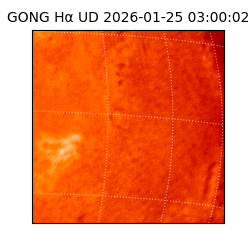 gong - 2026-01-25T03:00:02