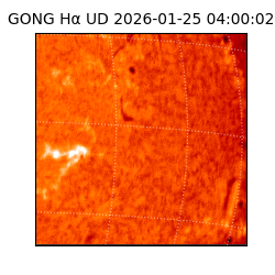 gong - 2026-01-25T04:00:02