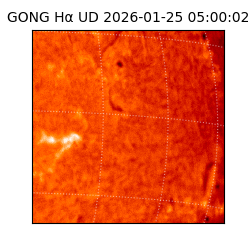 gong - 2026-01-25T05:00:02