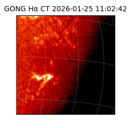 gong - 2026-01-25T11:02:42