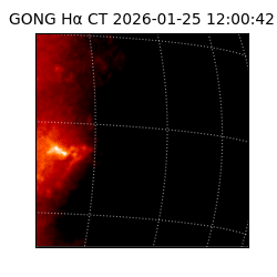 gong - 2026-01-25T12:00:42