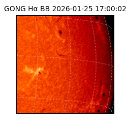 gong - 2026-01-25T17:00:02