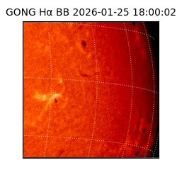 gong - 2026-01-25T18:00:02