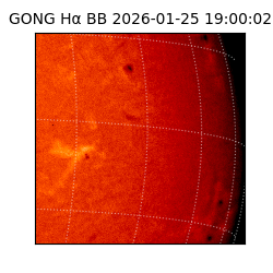 gong - 2026-01-25T19:00:02