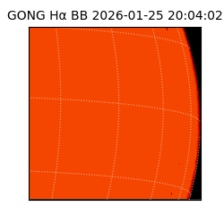 gong - 2026-01-25T20:04:02