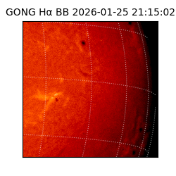 gong - 2026-01-25T21:15:02