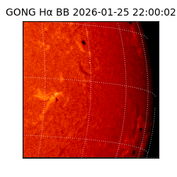 gong - 2026-01-25T22:00:02