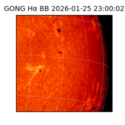 gong - 2026-01-25T23:00:02
