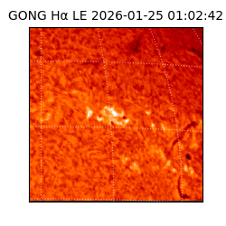 gong - 2026-01-25T01:02:42