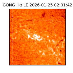 gong - 2026-01-25T02:01:42