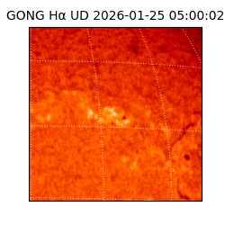 gong - 2026-01-25T05:00:02